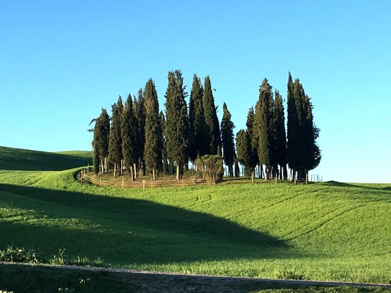 Camera La Margherita San Quirico dʼOrcia Dış mekan fotoğraf