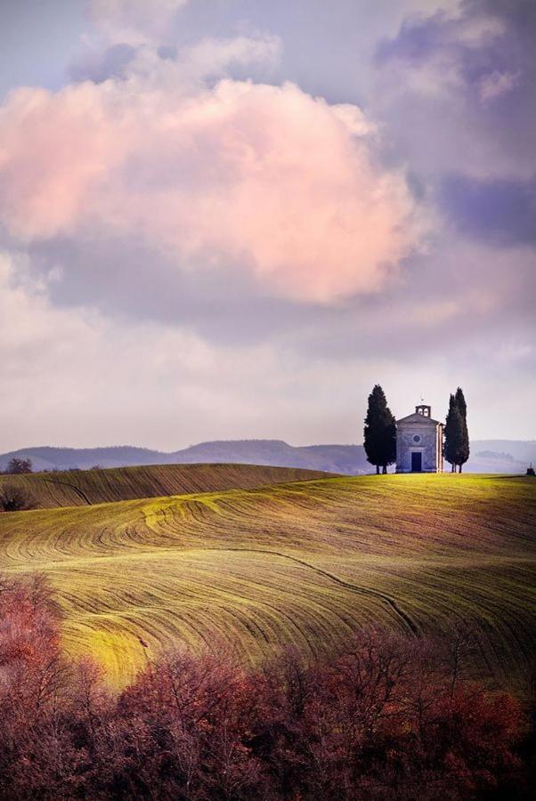 Camera La Margherita San Quirico dʼOrcia Dış mekan fotoğraf